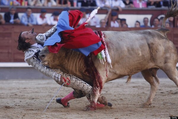 Cosas que puedes ocurrir en una corrida de toros
