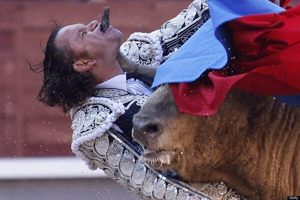 Cosas que puedes ocurrir en una corrida de toros