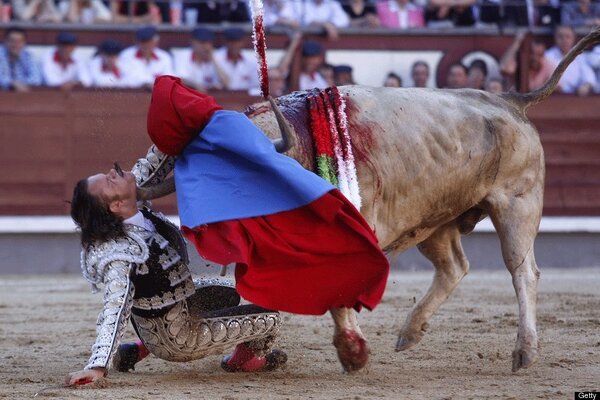 Cosas que puedes ocurrir en una corrida de toros