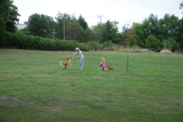 gallery_1_27_439606-min.jpg