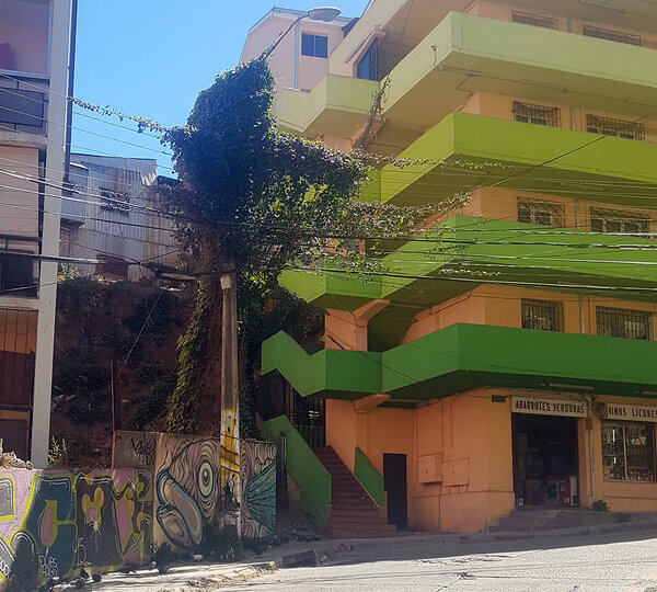 Enredadera eléctrica en calle Marquez de Valparaíso, The Network by Moraga