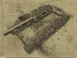 Raptor on Terrain Poster