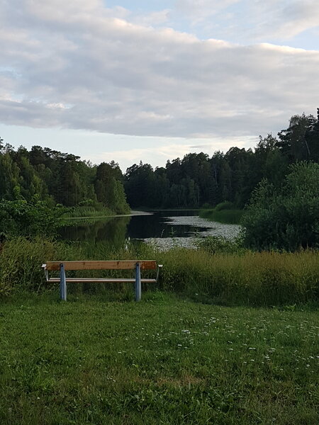 Grimsta träsk