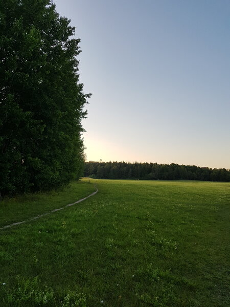 Bosque en Grimsta, Estocolmo