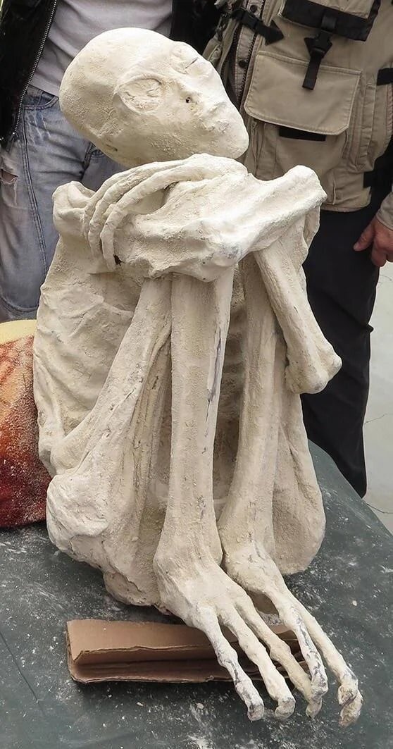 Tridactyl mummies from Peru