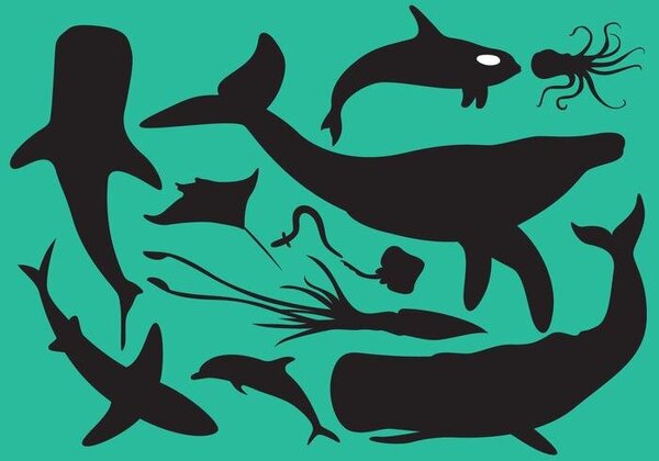 MAR_ANIMALS.jpg