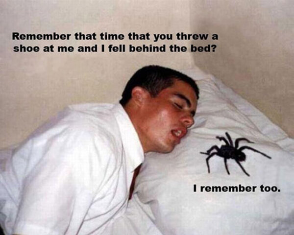 funny-spider-pillow-guy-sleeping.jpg