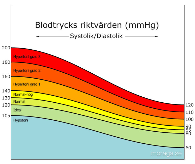 blodtryck_white.jpg